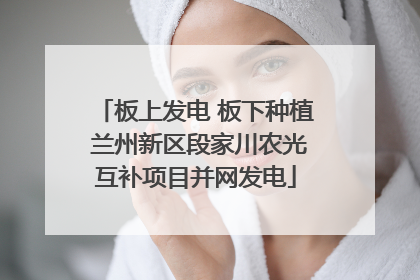 板上发电 板下种植 兰州新区段家川农光互补项目并网发电